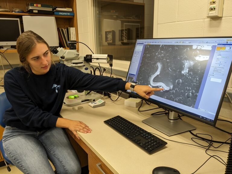 Microscope Empowers New Analysis, Educating