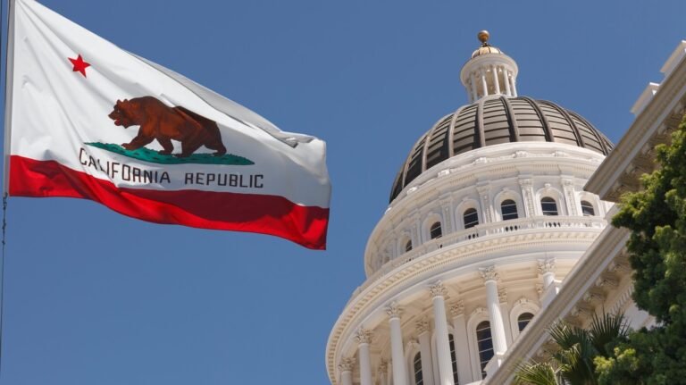 Little one Labor Is Such a Huge Downside That California Will Educate Youngsters Their Rights at Faculty
