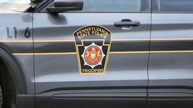 Studying man faces homicide fees in January Ruscombmanor Township deadly crash