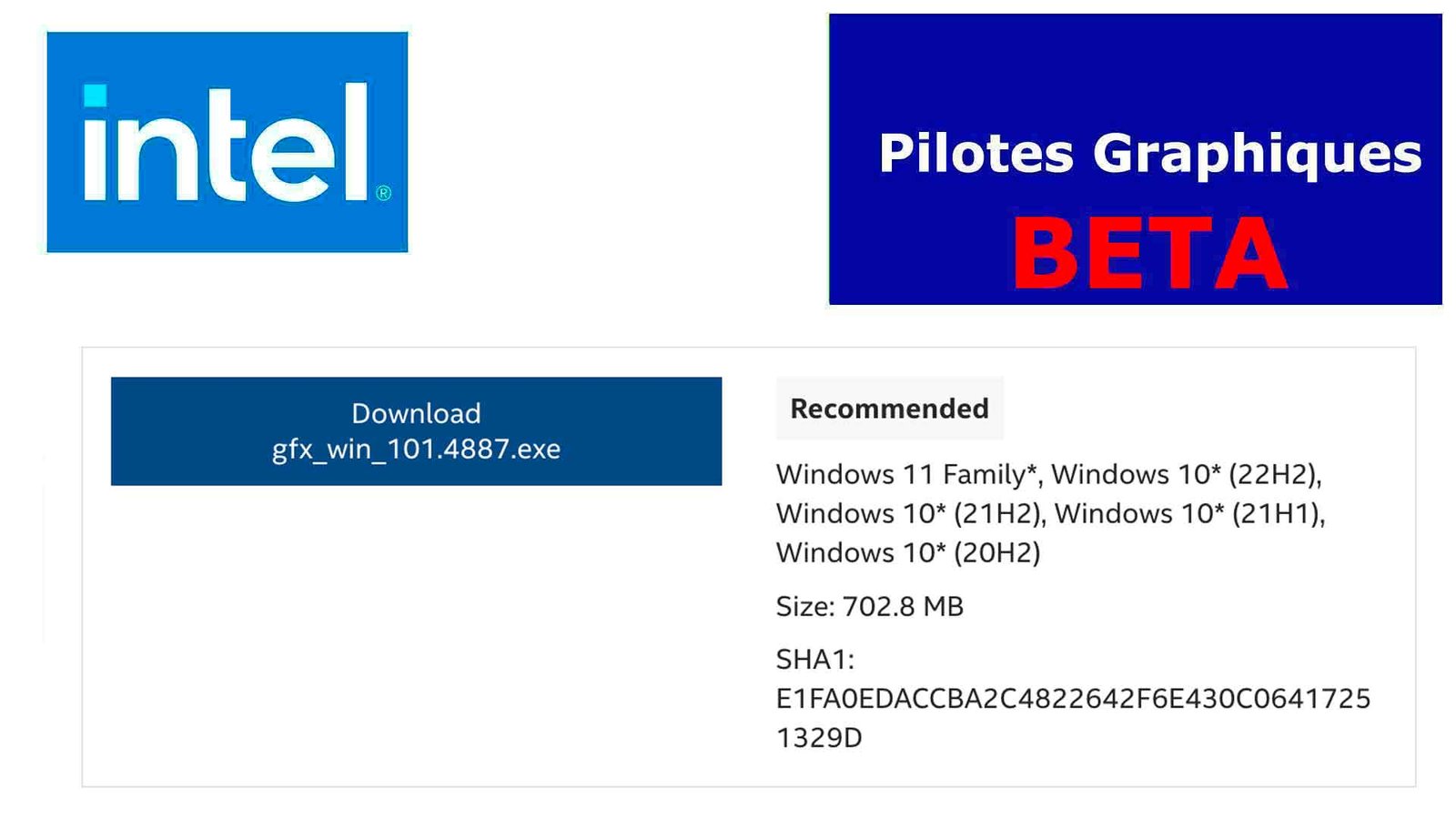 Graphics drivers Intel Arc & Iris Xe Graphics Driver 31.0.101.4887 Beta