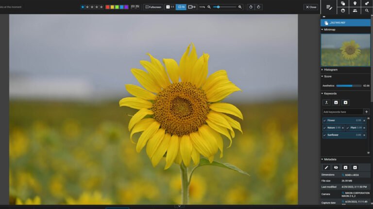Excire Foto 2024: A game-changer for photograph administration